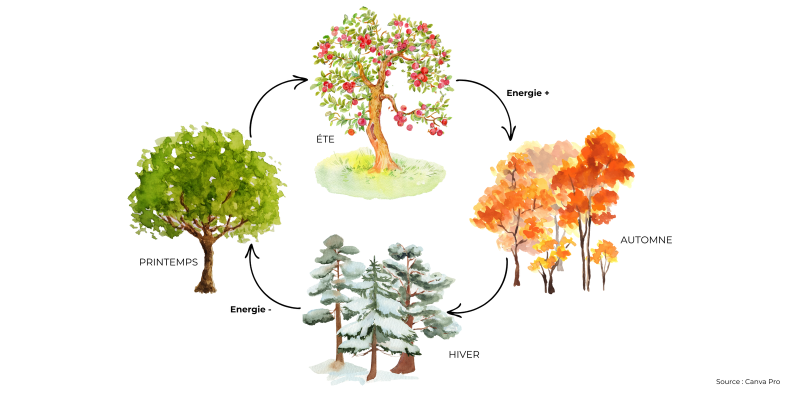 Le cycle des 4 saisons dans sa vie professionnelle.
